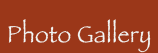 Photo Gallery